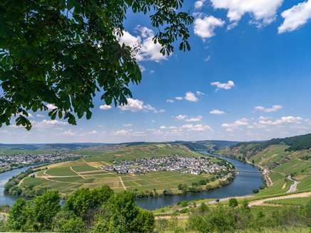 Moselle loop with view of Trittenheim